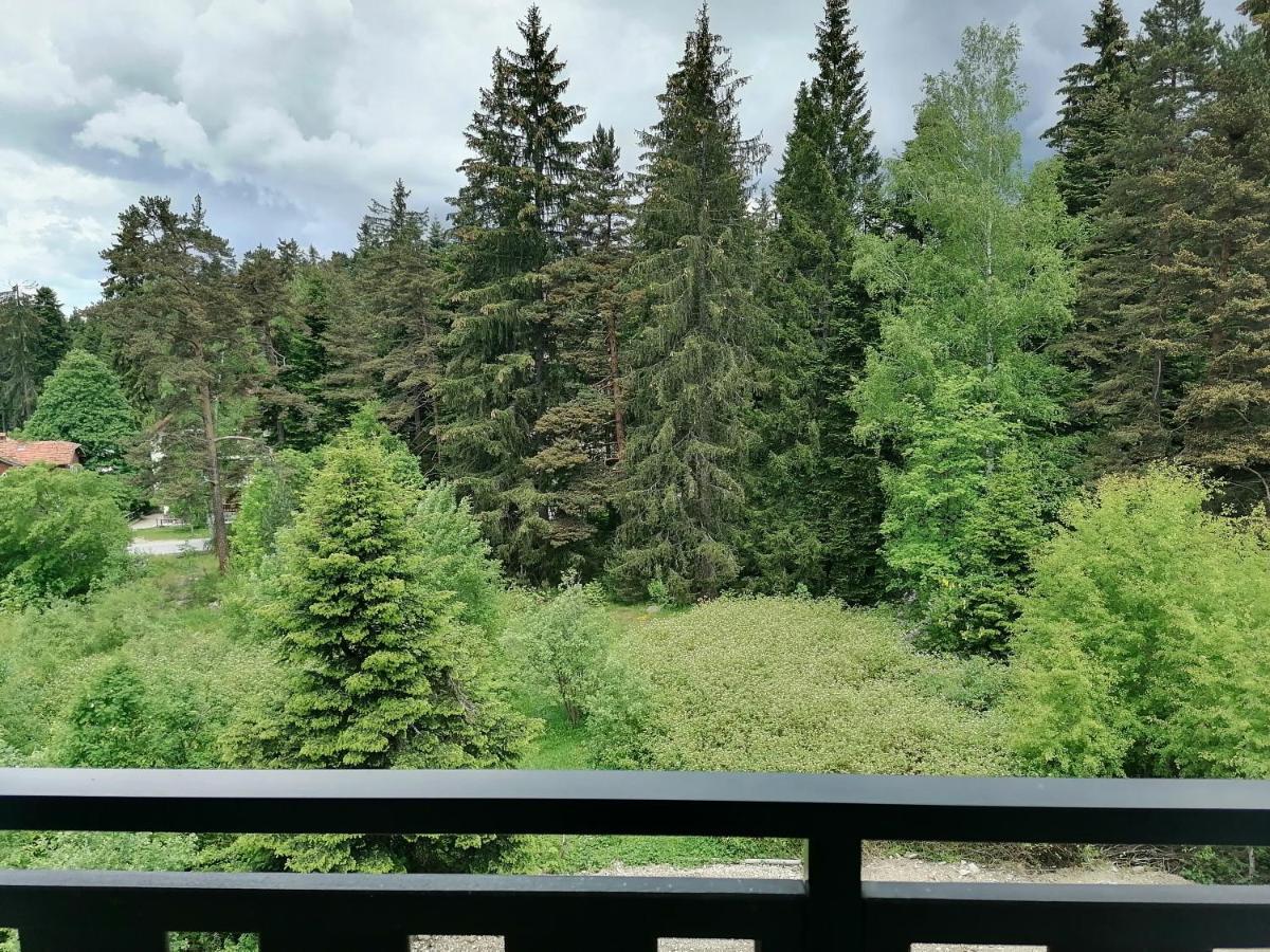 Borovets Gardens Studio D36 Екстер'єр фото