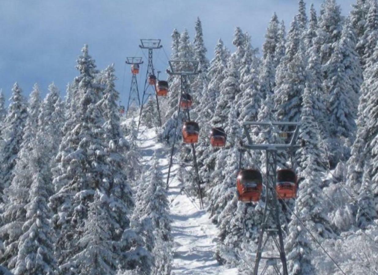 Borovets Gardens Studio D36 Екстер'єр фото